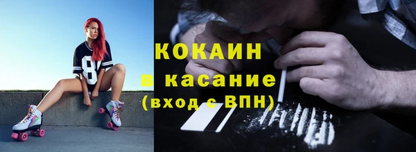дживик Абаза