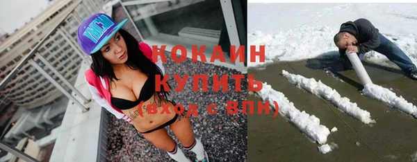 дживик Абаза